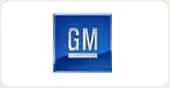 GM Motors